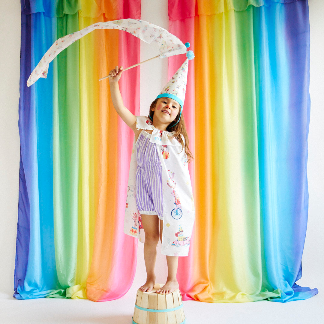 Circus Flag Streamer