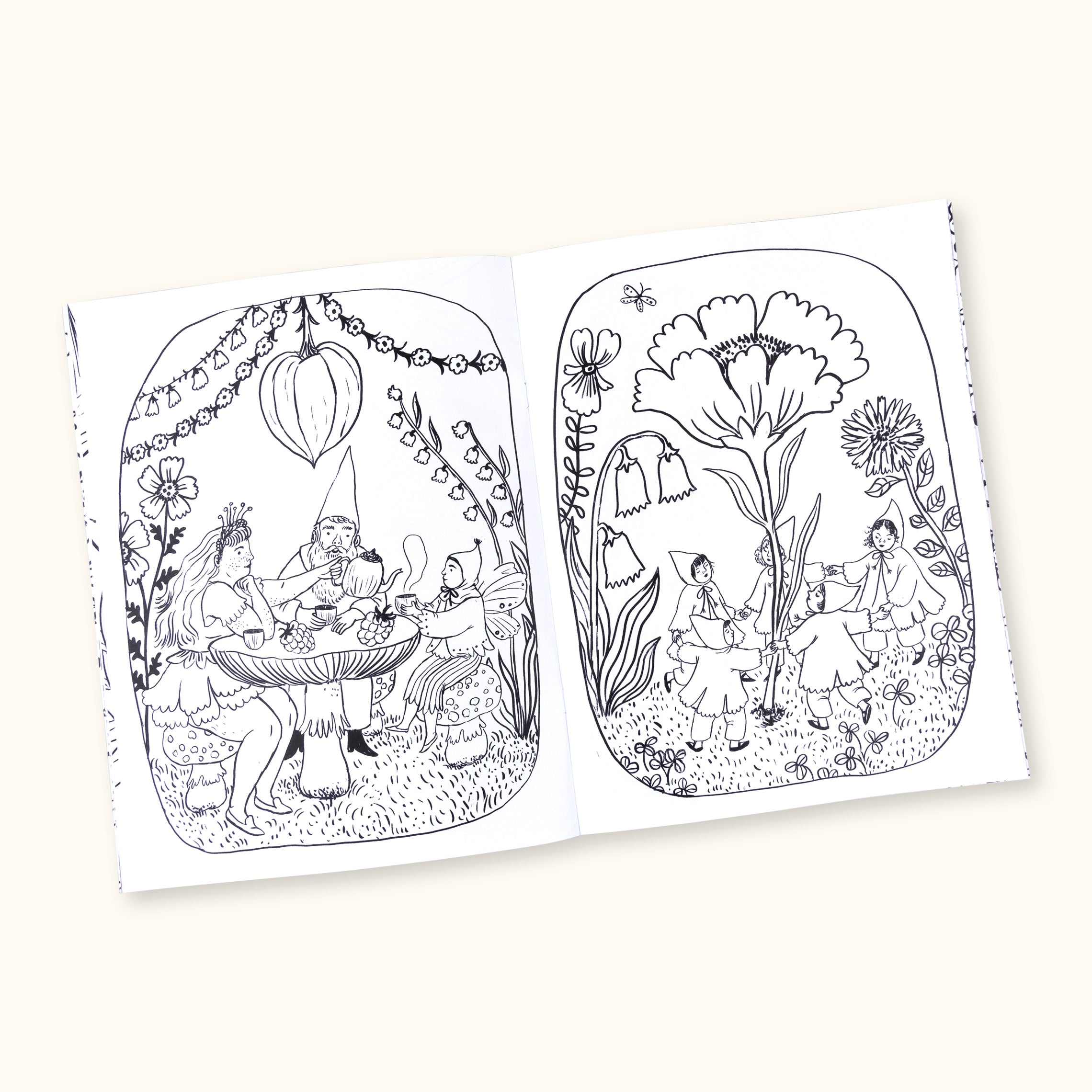 Fairyland Coloring Book - Contains Non Sexual Nudity