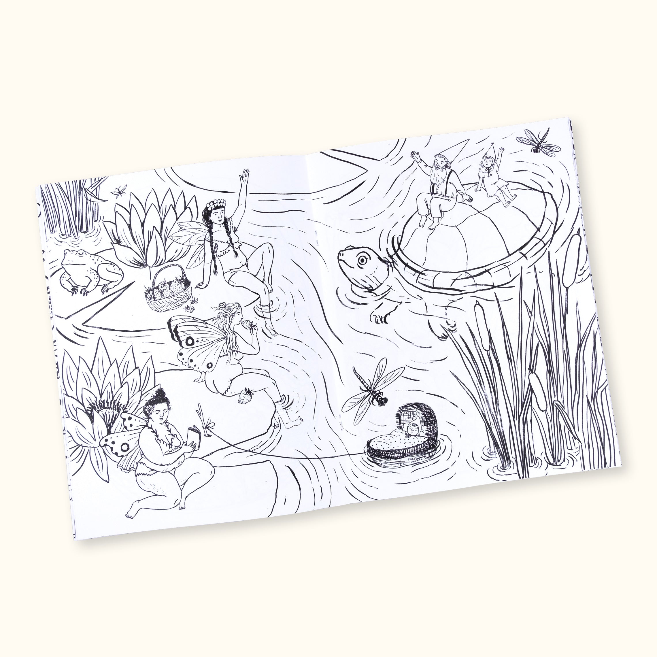 Fairyland Coloring Book