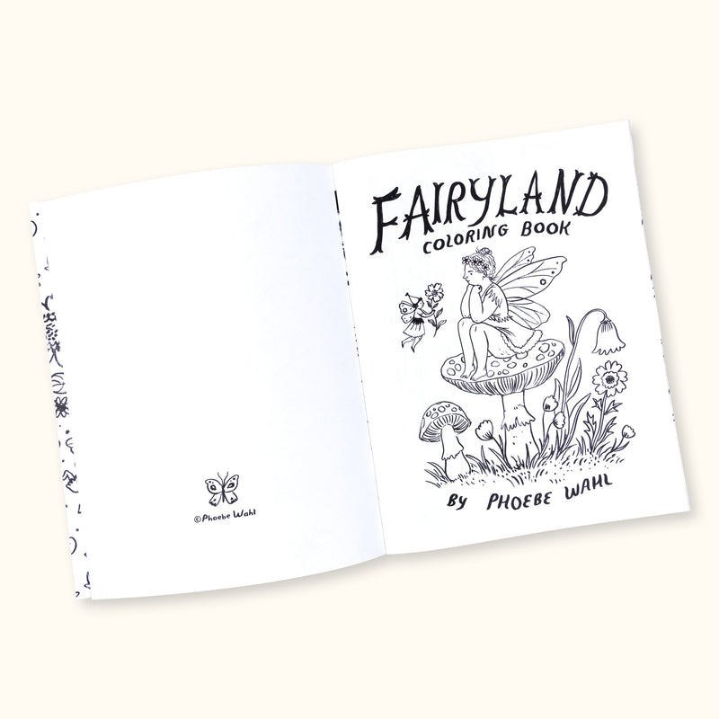 Fairyland Coloring Book