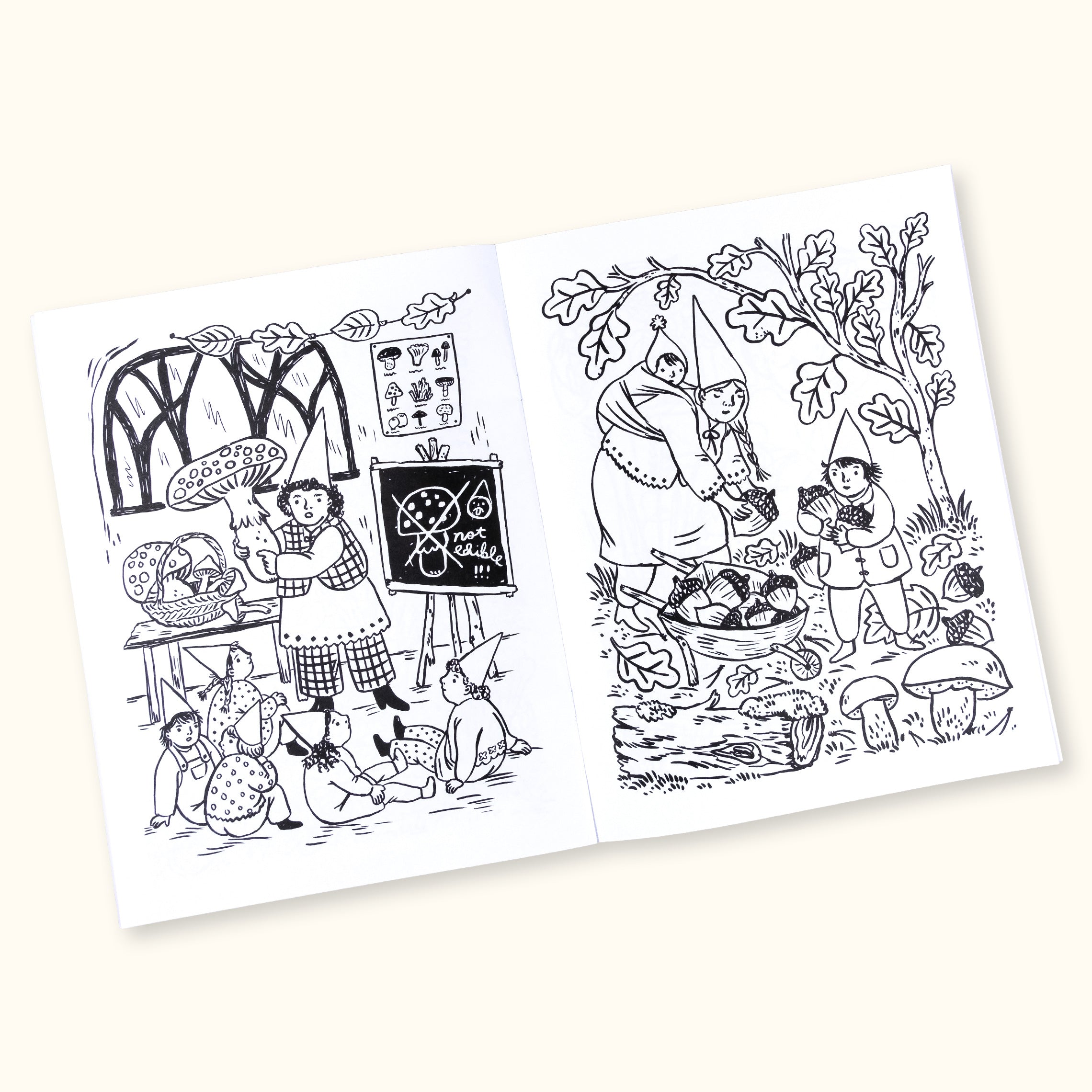 Gnomes Around The Year Coloring Book