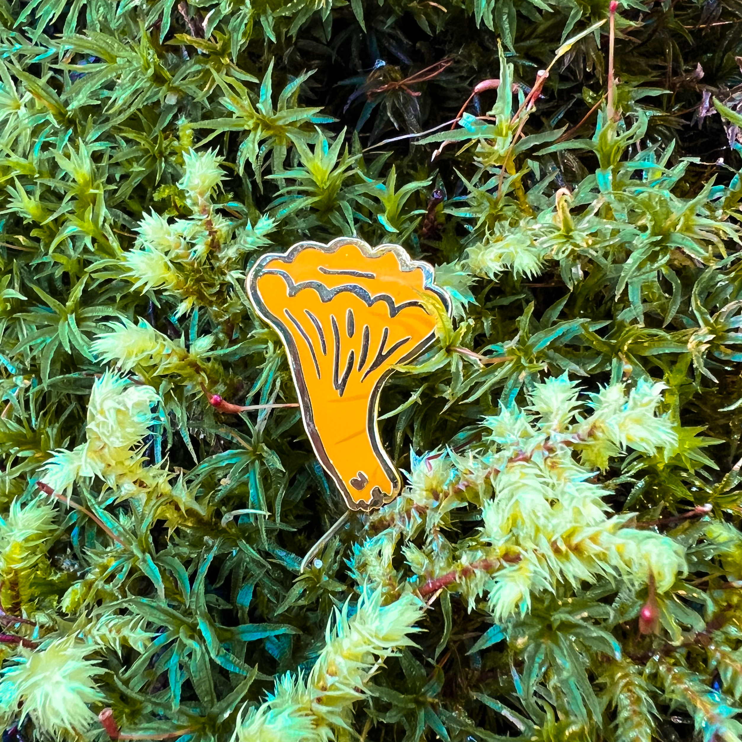 Chanterelle Mushroom Enamel Pin